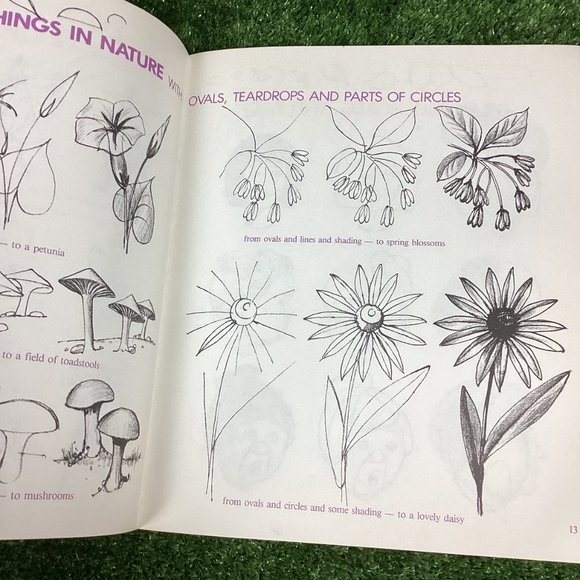 Beginning Drawing For Young People I, II, & III - Picture 8 of 11